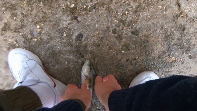 Рыбалка на ЧЕРНОМ МОРЕ / Я не знал, что они бывают такие большие / Зеленуха (РУЛЕНА)