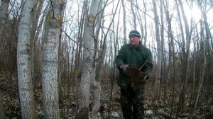 Посадка лип. Сажаю медоносы.