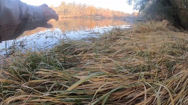 ЖОР ЩУКИ. УСТАЛ ДОСТАВАТЬ. Клев щуки.  Ловим на спиннинг с берега на вертушку. Цвет решает.