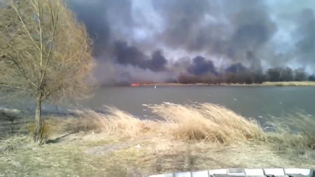 Ст. Елизаветинская смотреть онлайн