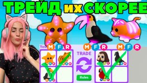 MEGA Starfish, Toucan и Ginger cat в Adopt me Roblox | Что трейдят за них сейчас? Адопт ми РОБЛОКС