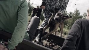 Бросил камень в поезд- попал в человека