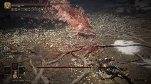 Elden ring лучший билд на танка