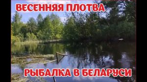 Рыбалка на маленькой речке. Хутор в лесу. Отдых в Беларуси. Весенняя плотва. Из города в деревню.