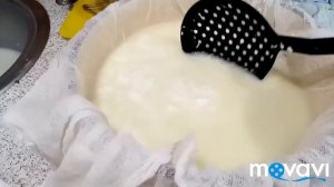 ?Варю сыр из КОЗЬЕГО молока! От А до Я?