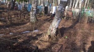 Как самому установить памятник. Прошло 4 года