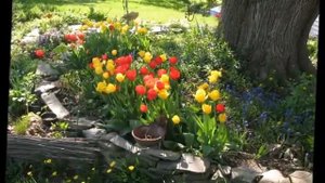 Оформляем приствольный круг