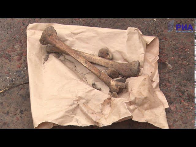 В Твери обнаружили могильные ямы