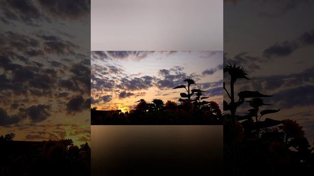 Не..ВЕРЮ,что нет СЧАСТЬЯ..?..на земле.. смотреть онлайн