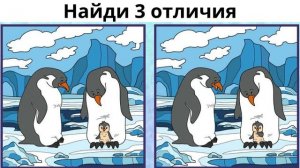 Найди 3 отличия