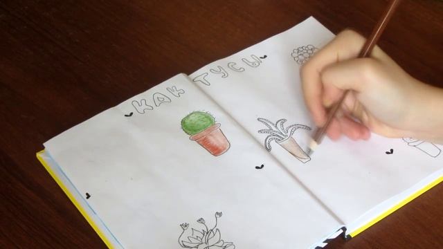 SketchBook 2  Кактусы  Draw Tv