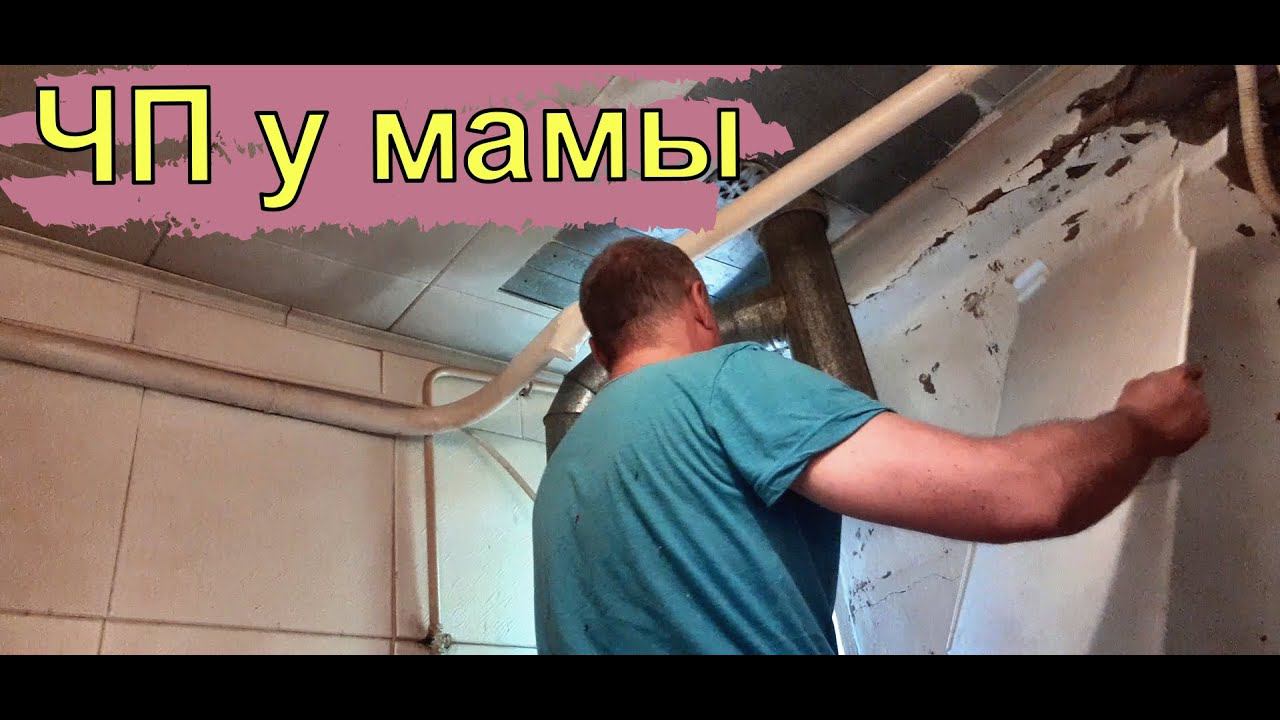 ВЛОГ: Виталик и Ангелина не обманули/ Кошки - мышки/ Ремонтирую домик у моря