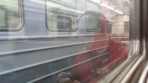 Электропоезд ЭД4М-0263 прибывает и отправляется с о.п. Нижняя Ельцовка
