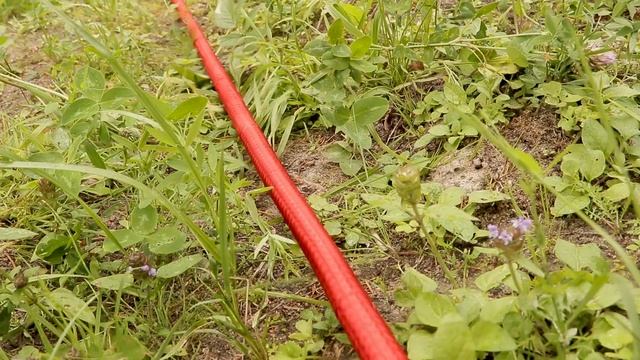 Шланг для воды растягивающийся QUATTRO ELEMENTI смотреть онлайн