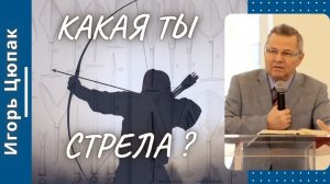 Какая ты стрела ? Игорь Цюпак