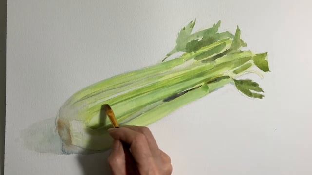 Watercolor Sketch 40 / Celery 水彩スケッチ 40 / セロリ смотреть онлайн