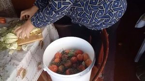 Солю помидоры с капустой в ведре, на осень// Пробую солёный арбуз //