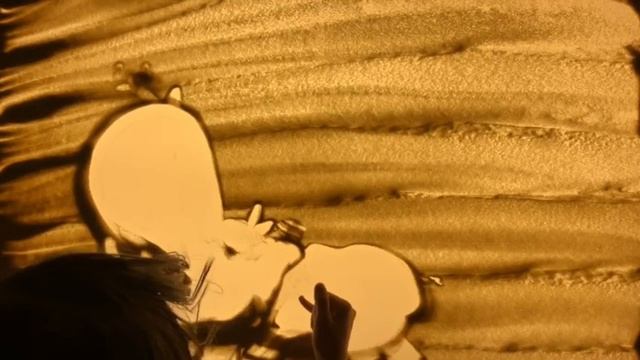 песочная анимация "в Мире Животных" смотреть онлайн