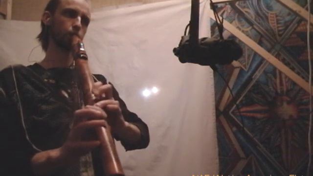 Lisiisni - Naf Em Runic Master - 5th element - birds смотреть онлайн