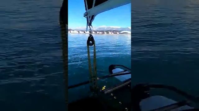 Хобби Кэт Сочи смотреть онлайн