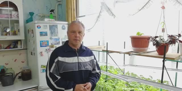 Замена воды в аквариуме красноухих черепах