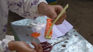Как обрабатываю пчёл от клеща Тестирую китайский спрей и пластинки компании Apibuzz на пчелопакетах