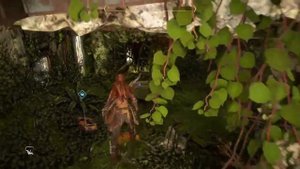 Руины с реликвиями: Остров Шпилей | Horizon forbidden west