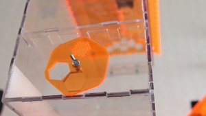 Прозрачный улей.