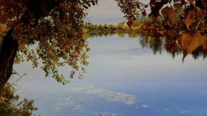 ретро песенка ,,,,Ты за мной ходи,,не ходи,,,пою я