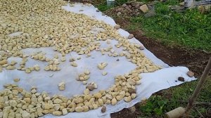 Щебень 40-70 5 кубов.