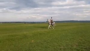 Лошадь продаётся инаходец.