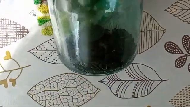 Ферментированный чай из листьев ирги. Как приготовить и какой он на вкус