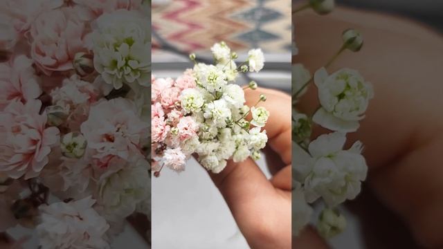 Бенто торт с живыми цветами. Декорт торта из цветов Гипсофилы