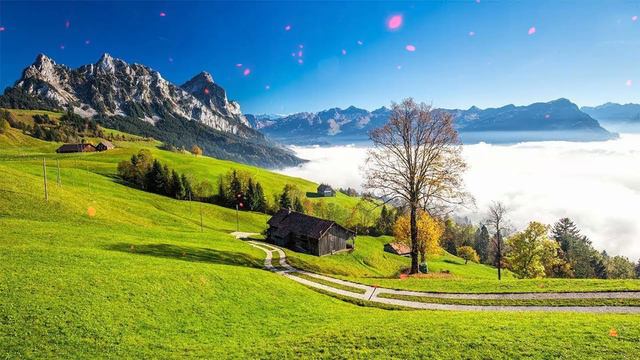 Потрясающая музыка, сказочная природа, смотришь, слушаешь и душа поёт! Упоительно! #58 смотреть онлайн