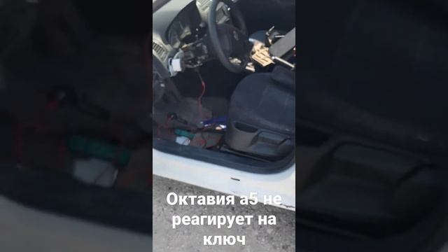 Шкода октавия а5 не реагирует на ключ