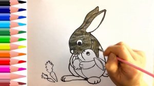 Как раскрасить зайцев / Раскраски для детей/ Раскраска животных / Детская Комната РАСКРАСКИ