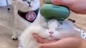 Что это за чёрная магия!