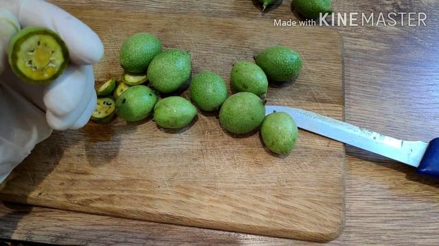 МАСЛО от ВАРИКОЗА. Тодикамп. И другие лекарства из зелёных орехов. смотреть онлайн