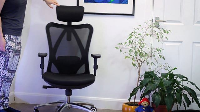 Sihoo M18 Mesh Office Chair Review (Are the Positive Ratings Fake?) смотреть онлайн