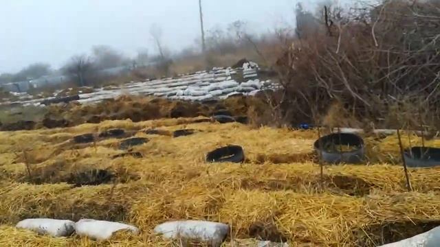 Создание плодородной земли в природном земледелии.