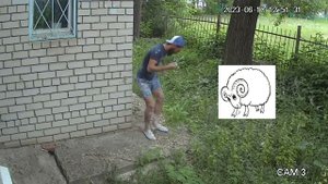202306101252 барашки