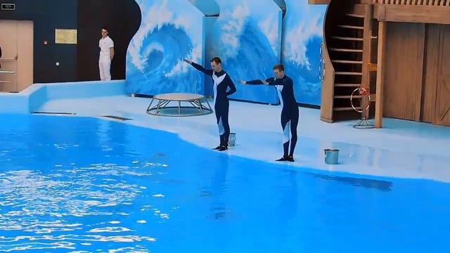 Центр океанографии и морской биологии «Дельфиния». смотреть онлайн