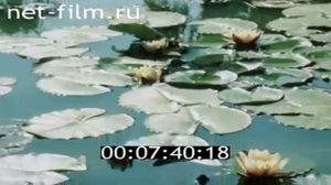 Ялта  1987  СССР