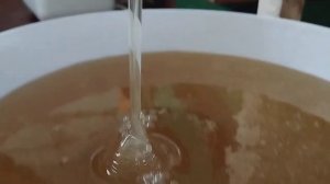 Фацелиевый мед