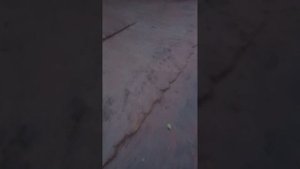 Строительный беспредел.