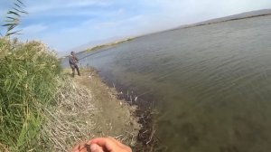 Осенняя рыбалка на сазана и змееголова на разливах.Казахстан,река Или.