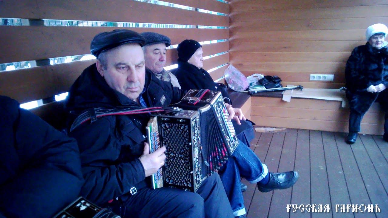 Старички танцуют под гармонь. Парк Кузьминки 2014.
