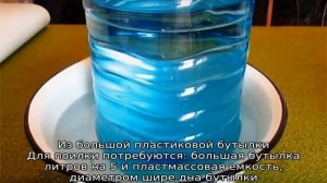 Поилка для гусят своими руками