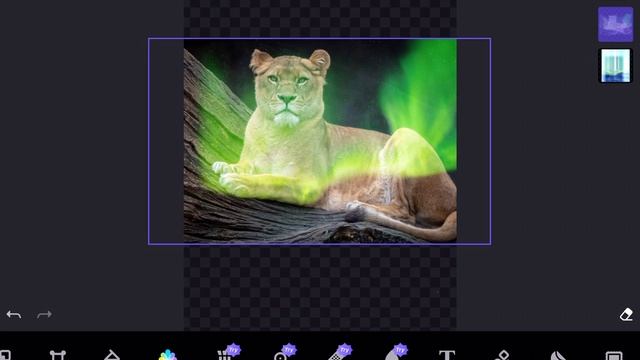 How to use photofox смотреть онлайн