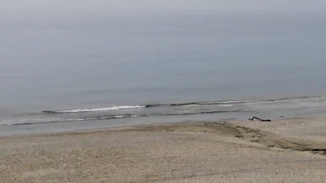 2 МАРТА ТЁПЛОЕ МОРЕ МАХМУТЛАРА. ТУРЦИЯ 2023.